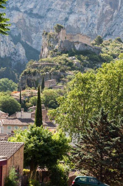 La Figuiere De Vaucluse Bed & Breakfast