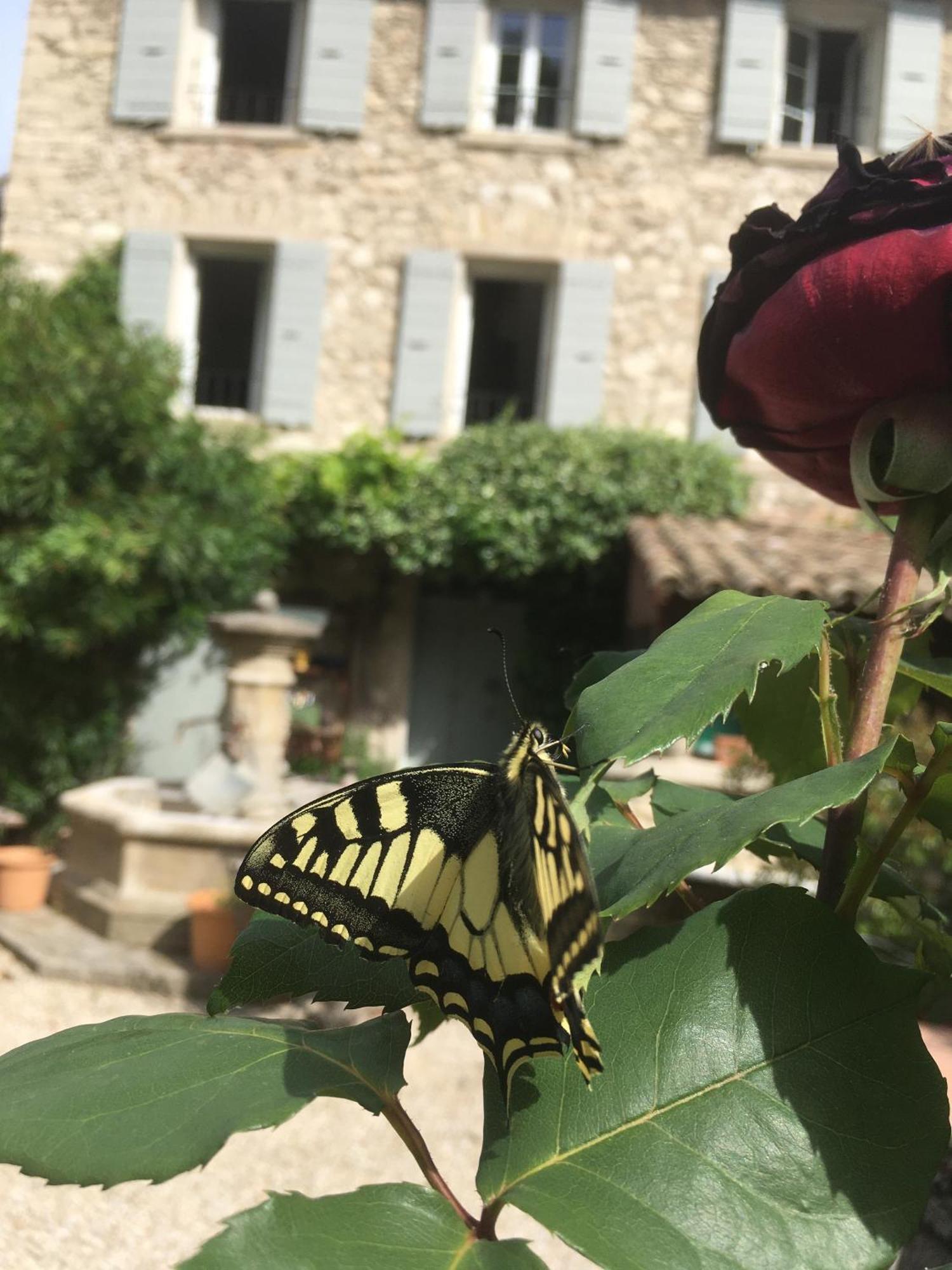 La Figuiere De Vaucluse Bed & Breakfast 2*
